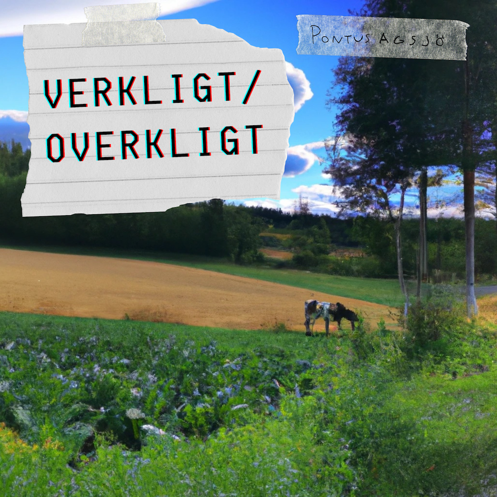 Verkligt/Overkligt Omslag